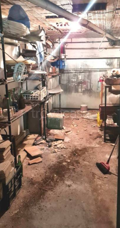 immagine annuncio 8 di 12