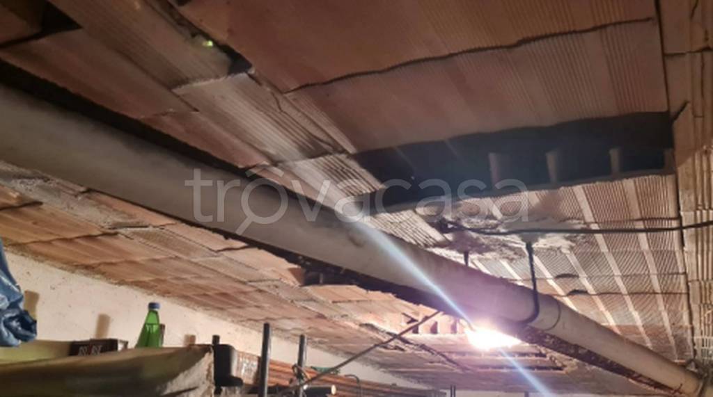 immagine annuncio 9 di 12