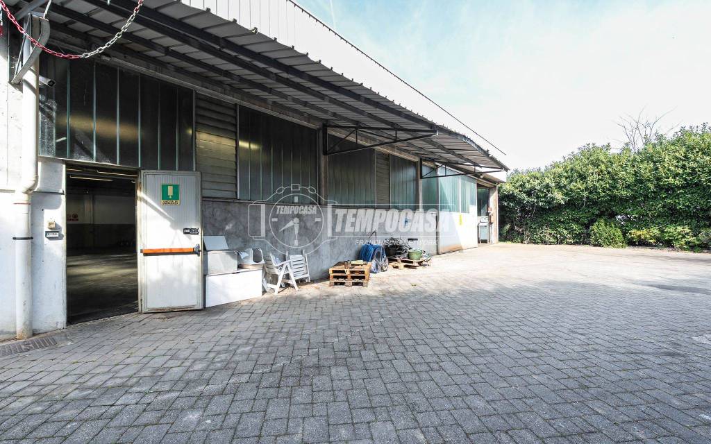 immagine annuncio 2 di 15