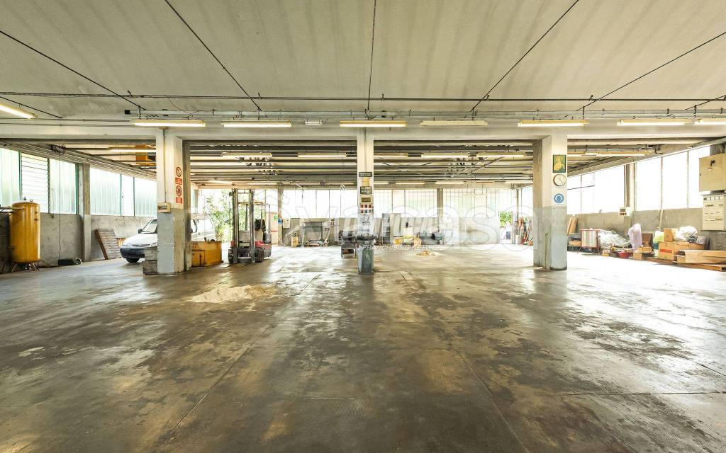 immagine annuncio 9 di 15