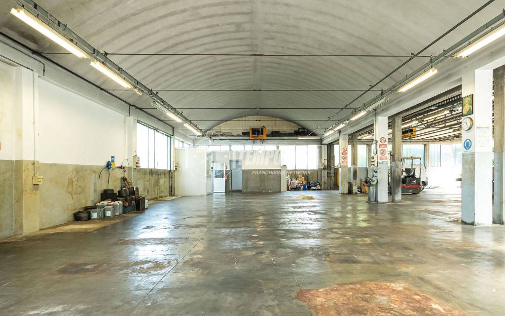 immagine annuncio 11 di 15