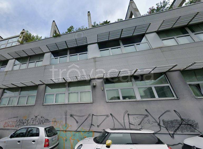 immagine annuncio 3 di 7