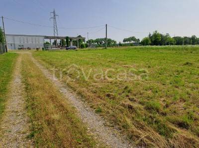 immagine annuncio 1 di 6