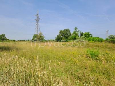 immagine annuncio 4 di 6