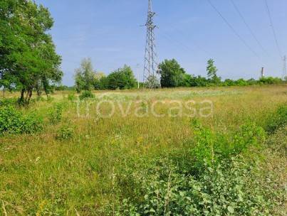 immagine annuncio 5 di 6