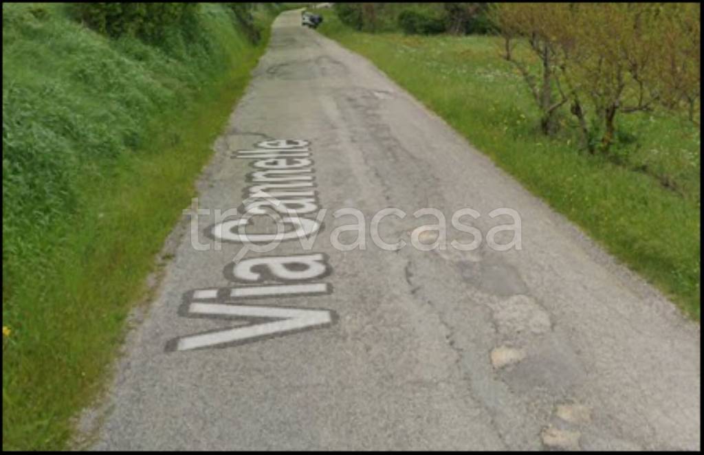 immagine annuncio 5 di 12