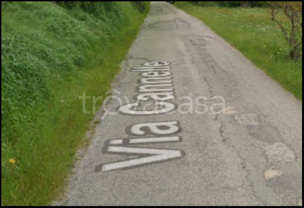 immagine annuncio 6 di 12