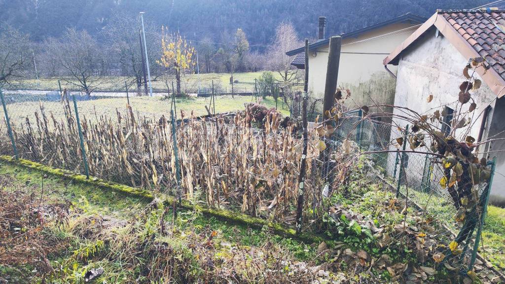 immagine annuncio 10 di 14