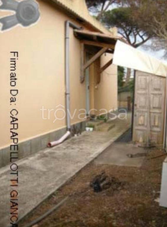 immagine annuncio 8 di 11