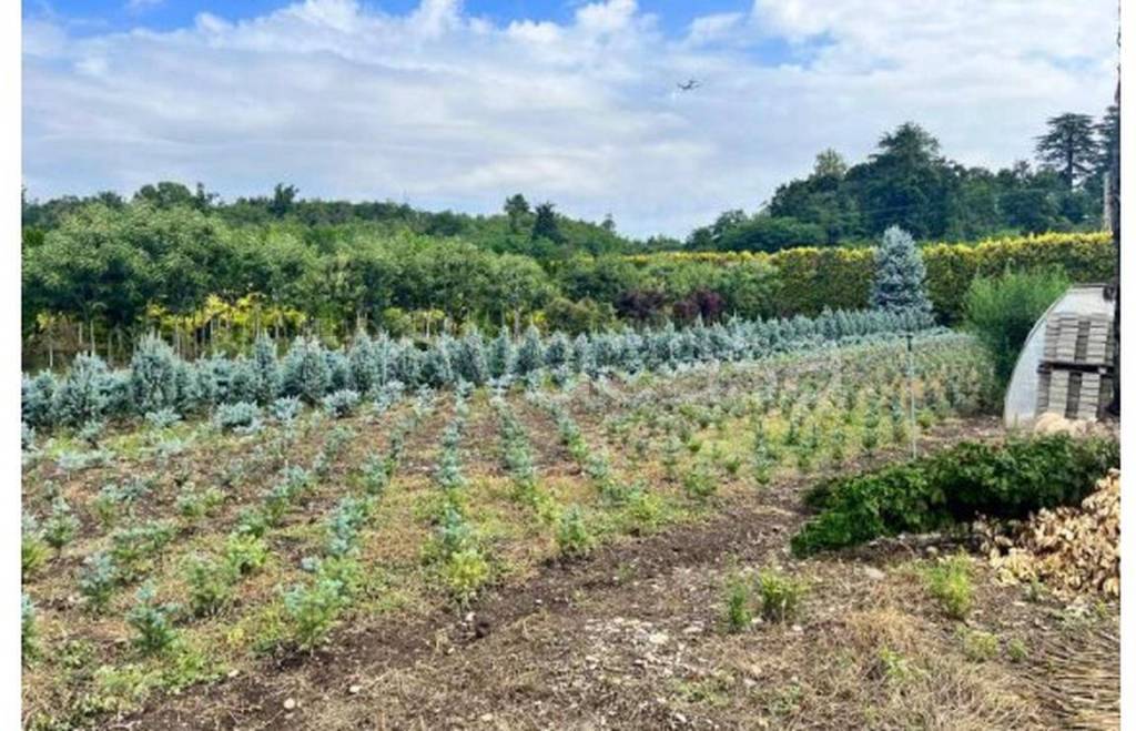 immagine annuncio 7 di 10