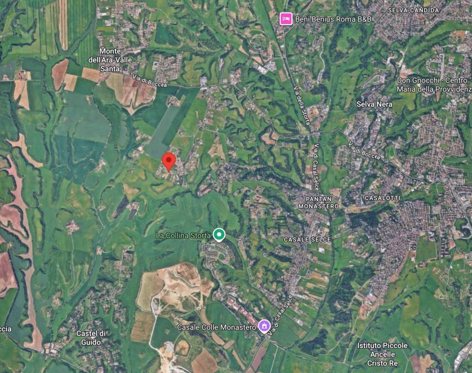 immagine annuncio 8 di 10