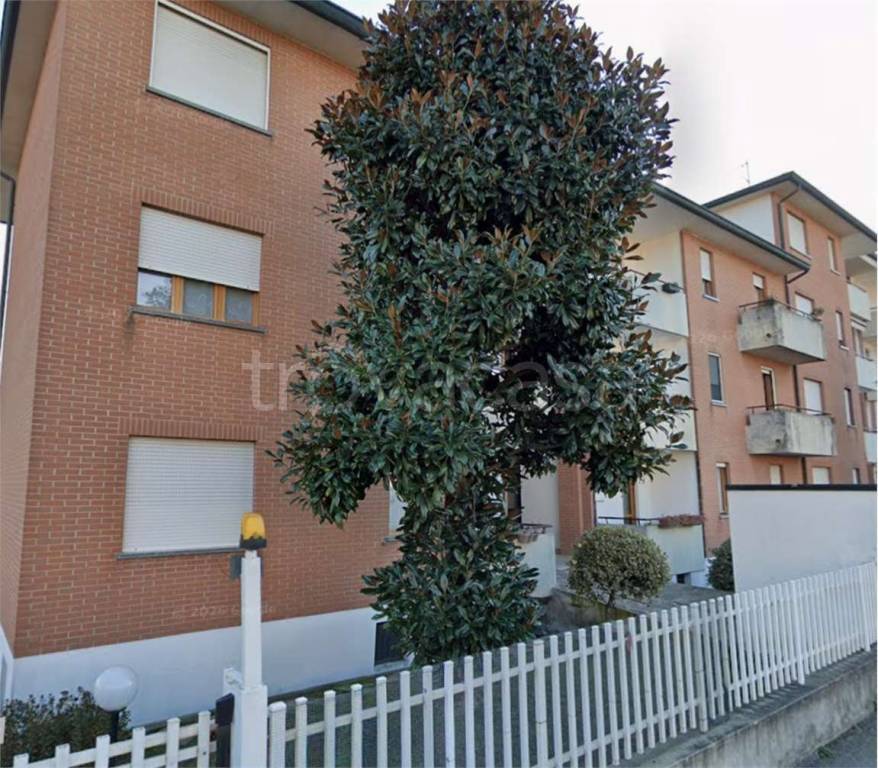 immagine annuncio 4 di 14