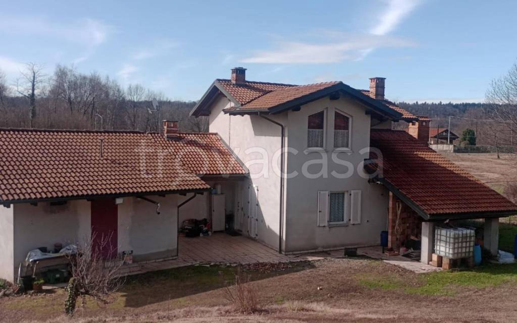 immagine annuncio 2 di 12