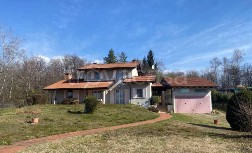 immagine annuncio 3 di 12