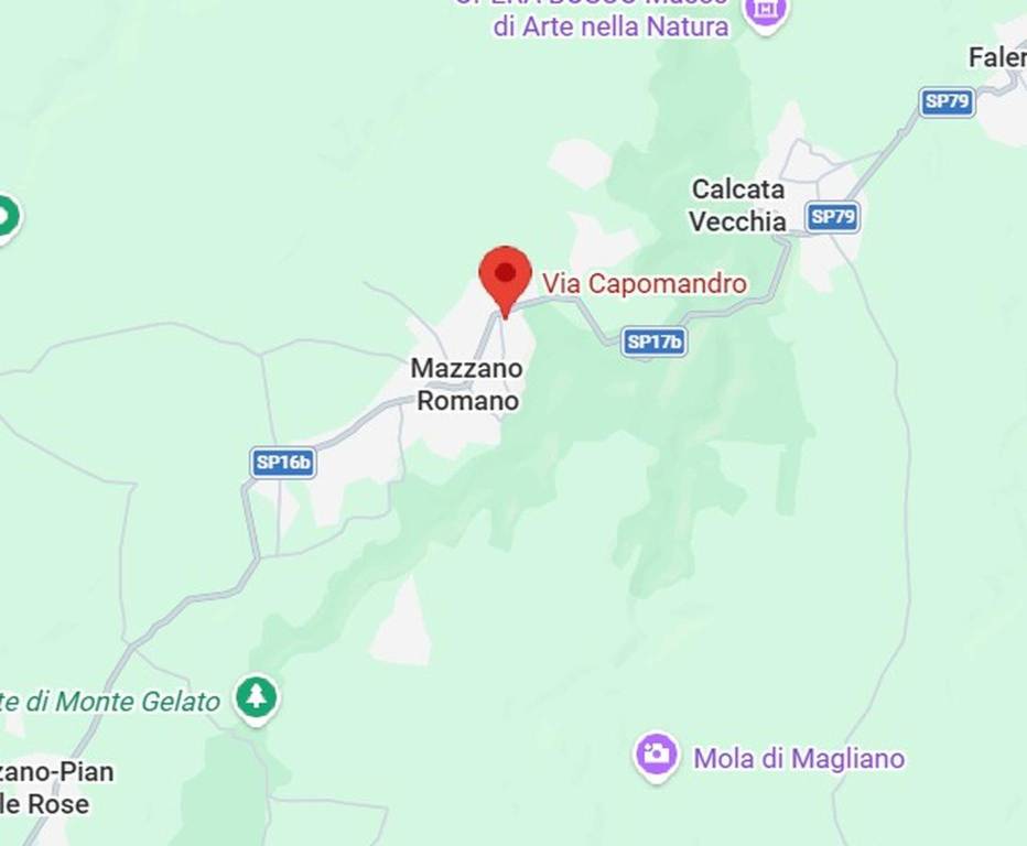 immagine annuncio 2 di 11