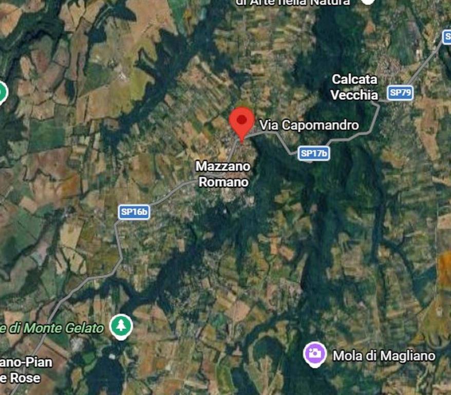 immagine annuncio 3 di 11