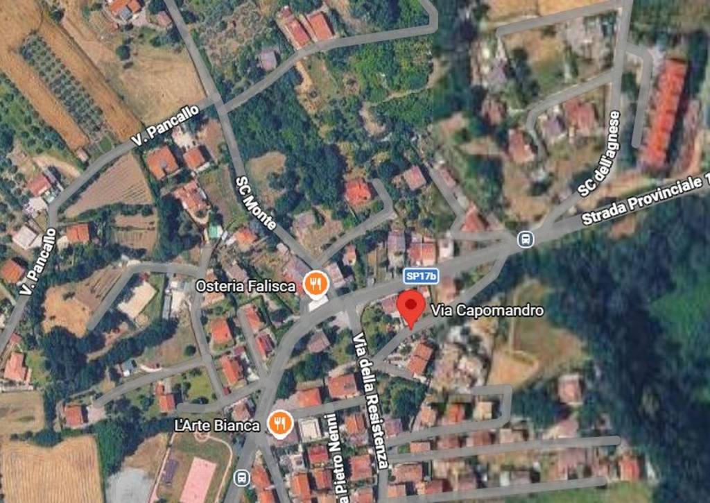 immagine annuncio 5 di 11