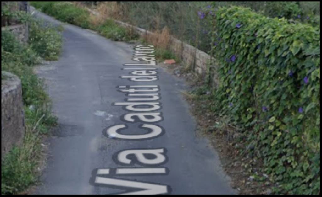 immagine annuncio 5 di 12