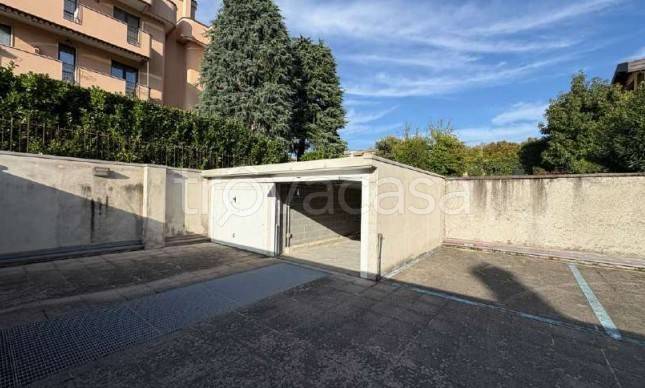 immagine annuncio 6 di 11