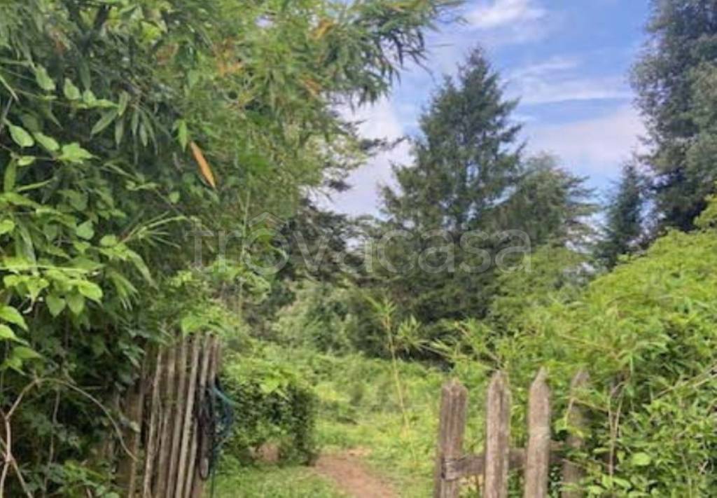 immagine annuncio 4 di 9