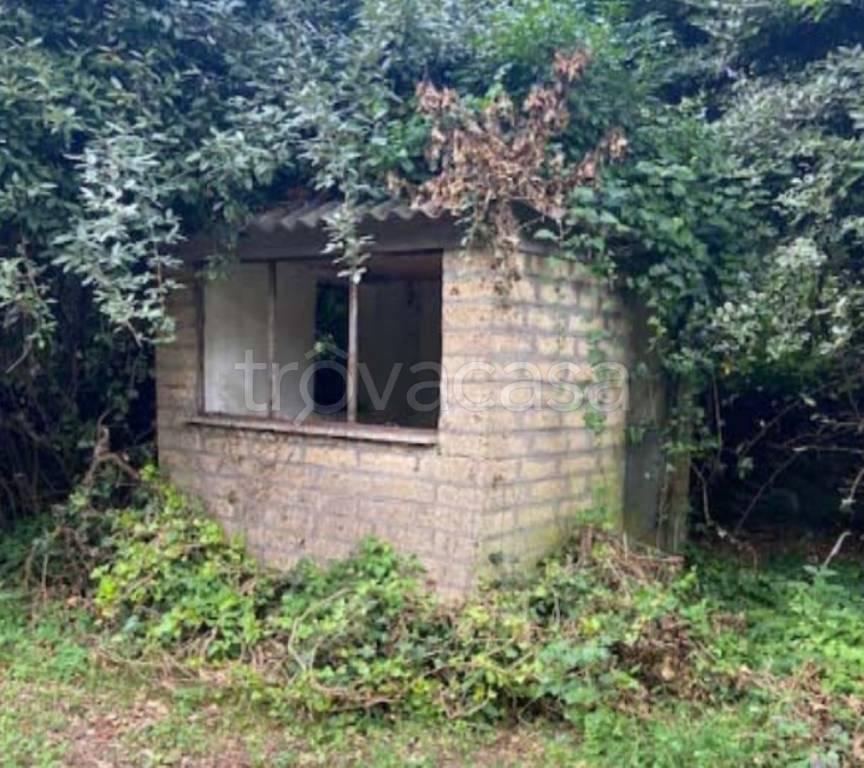 immagine annuncio 5 di 9