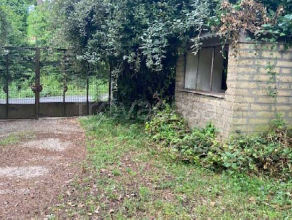 immagine annuncio 6 di 9