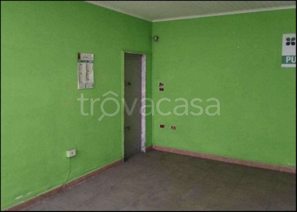 immagine annuncio 6 di 12