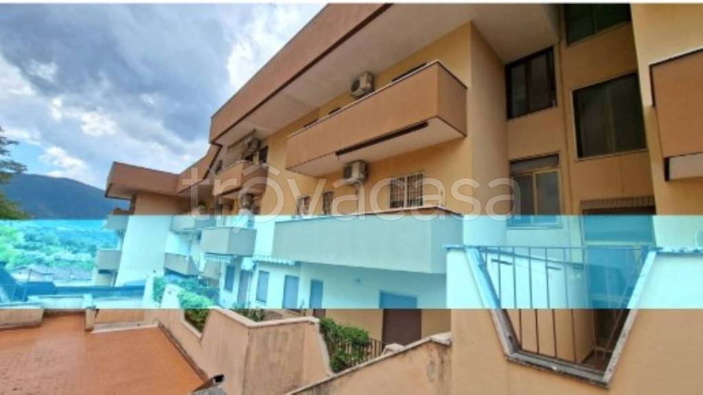 immagine annuncio 6 di 11