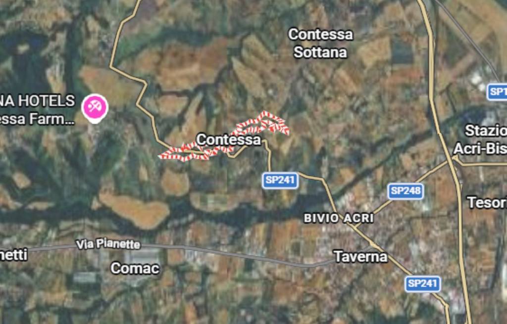 immagine annuncio 5 di 12