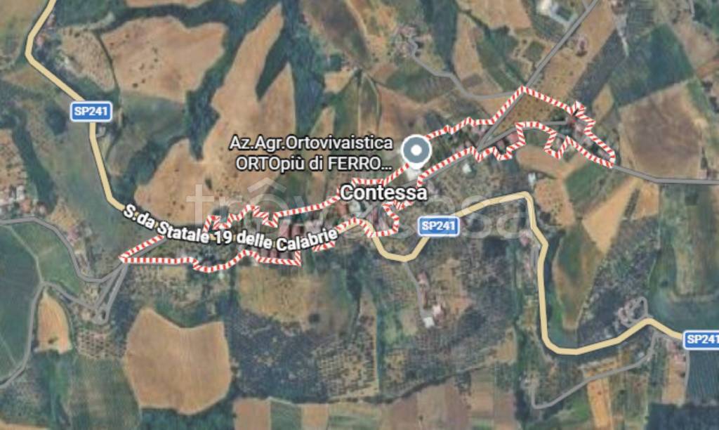 immagine annuncio 6 di 12