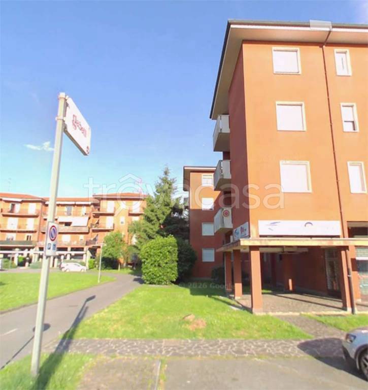 immagine annuncio 5 di 15