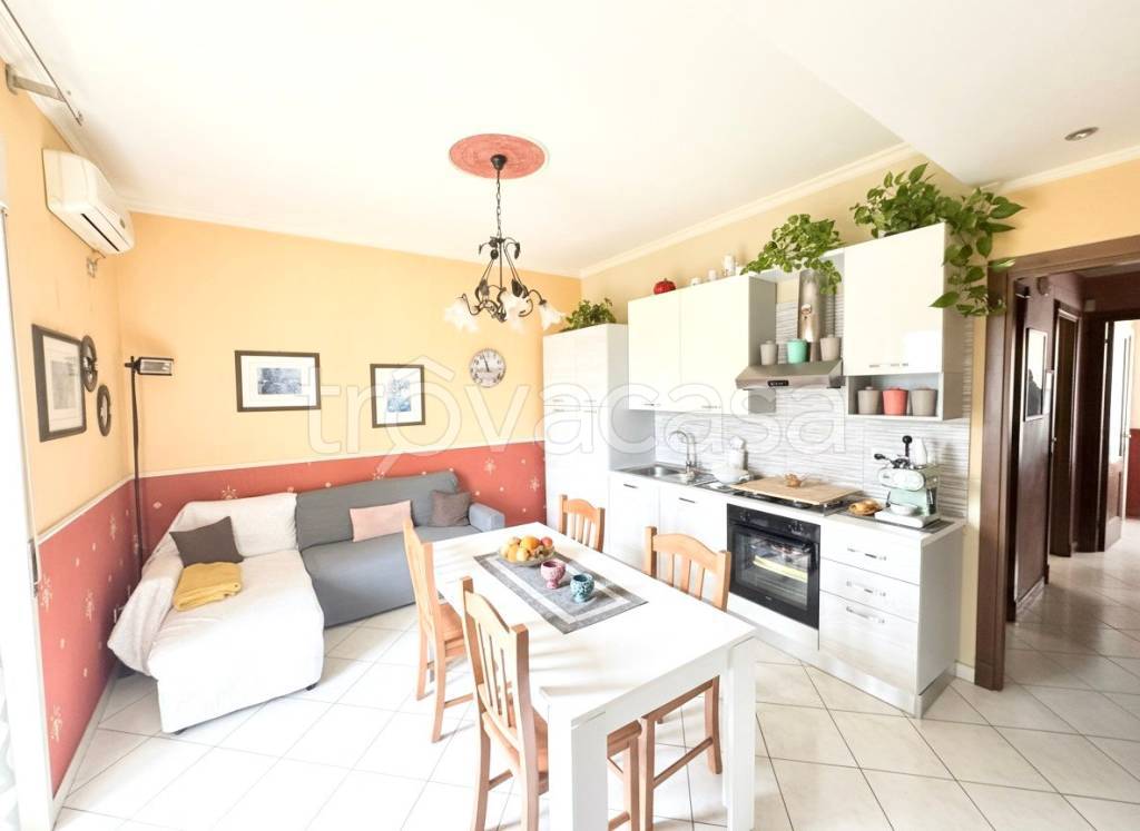 immagine annuncio 1 di 13