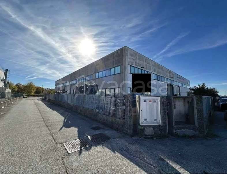 immagine annuncio 3 di 13