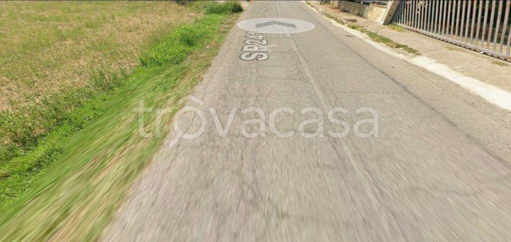 immagine annuncio 3 di 12