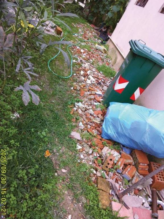 immagine annuncio 4 di 14