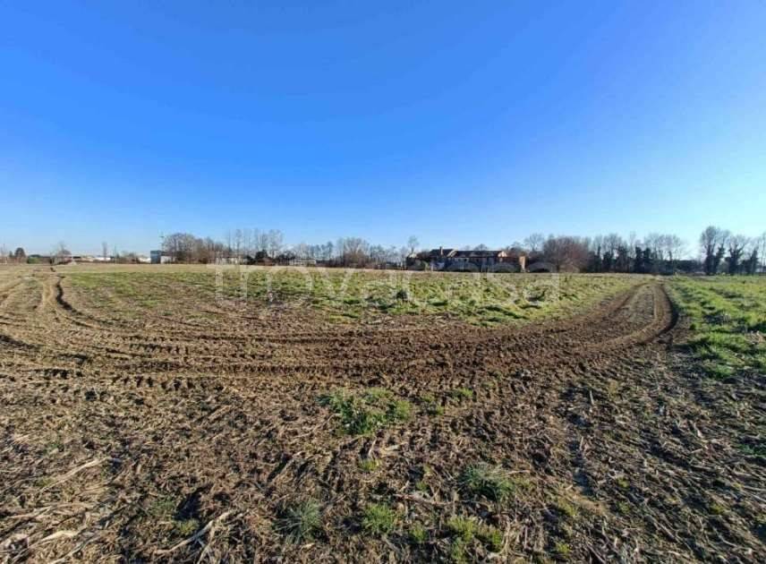 immagine annuncio 3 di 13