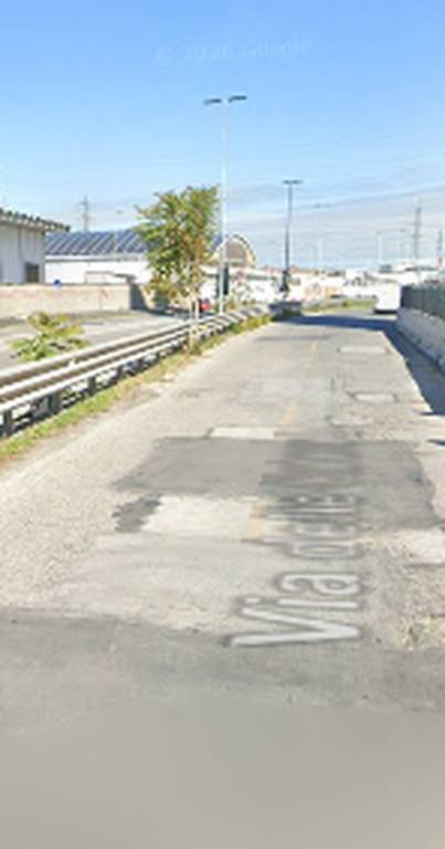 immagine annuncio 4 di 12