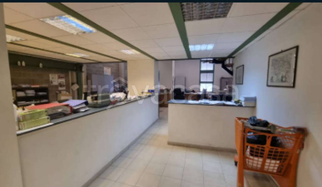 immagine annuncio 7 di 12