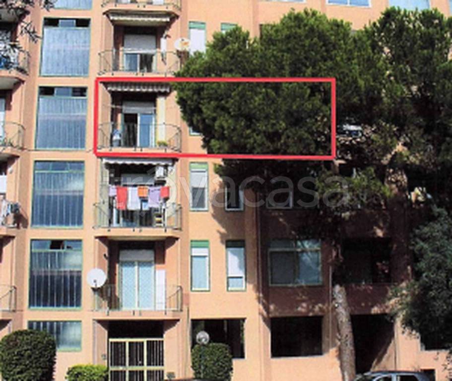 immagine annuncio 8 di 12