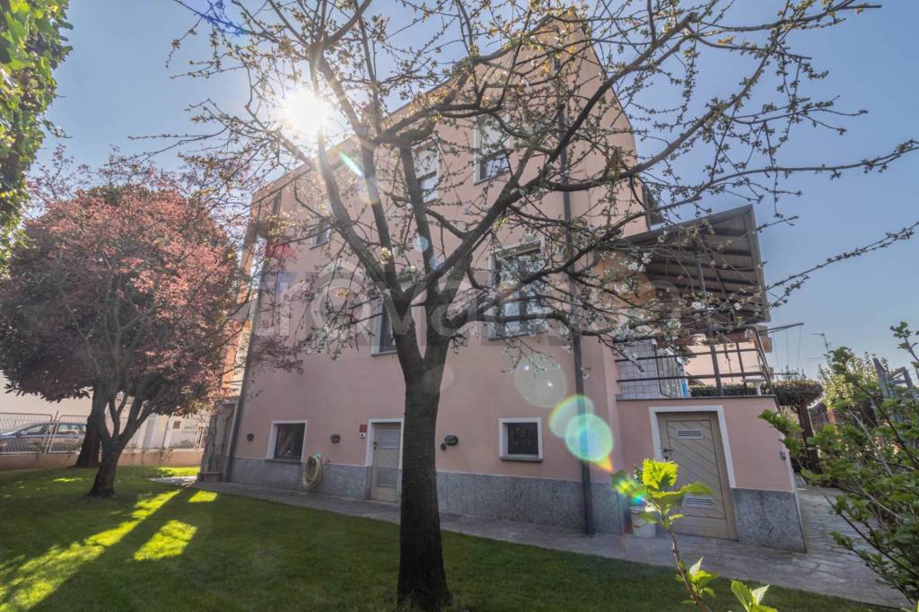 immagine annuncio 1 di 15