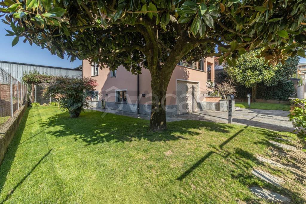 immagine annuncio 4 di 15