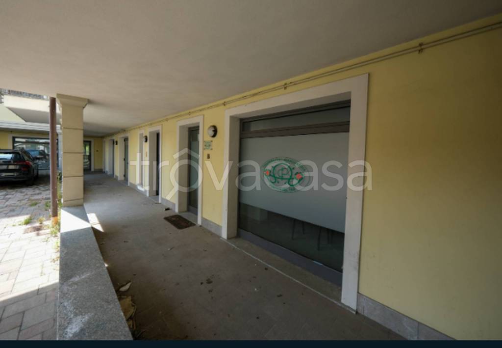 immagine annuncio 6 di 11