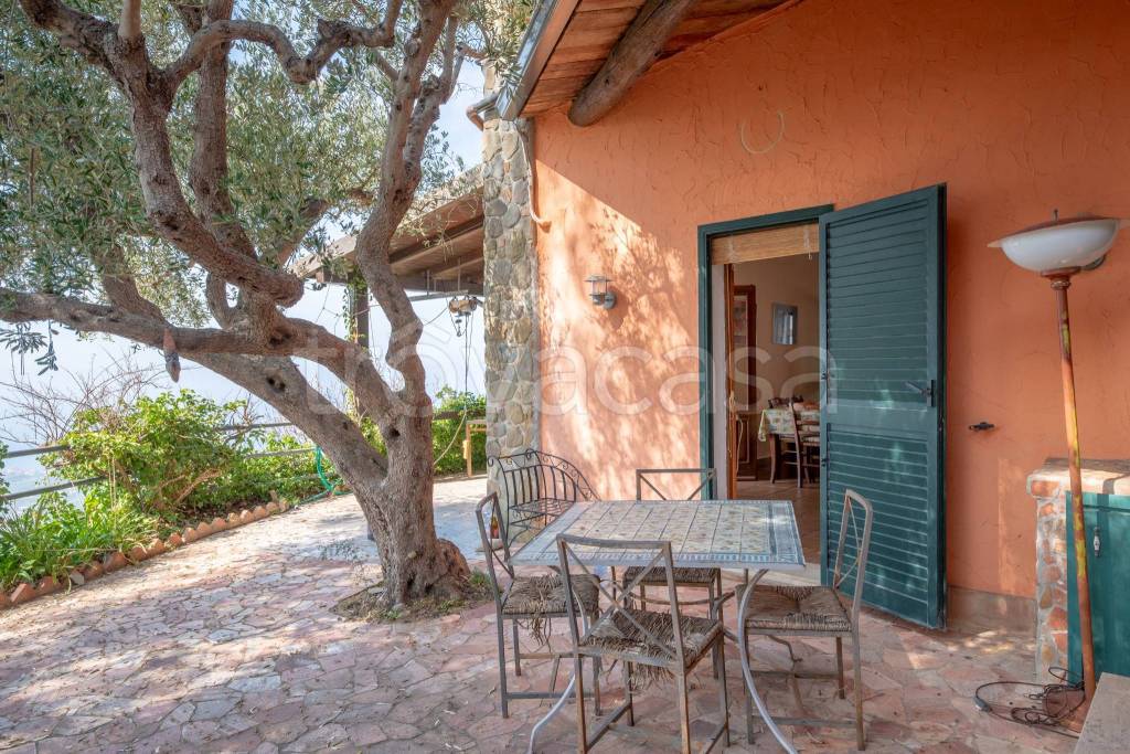 immagine annuncio 3 di 14