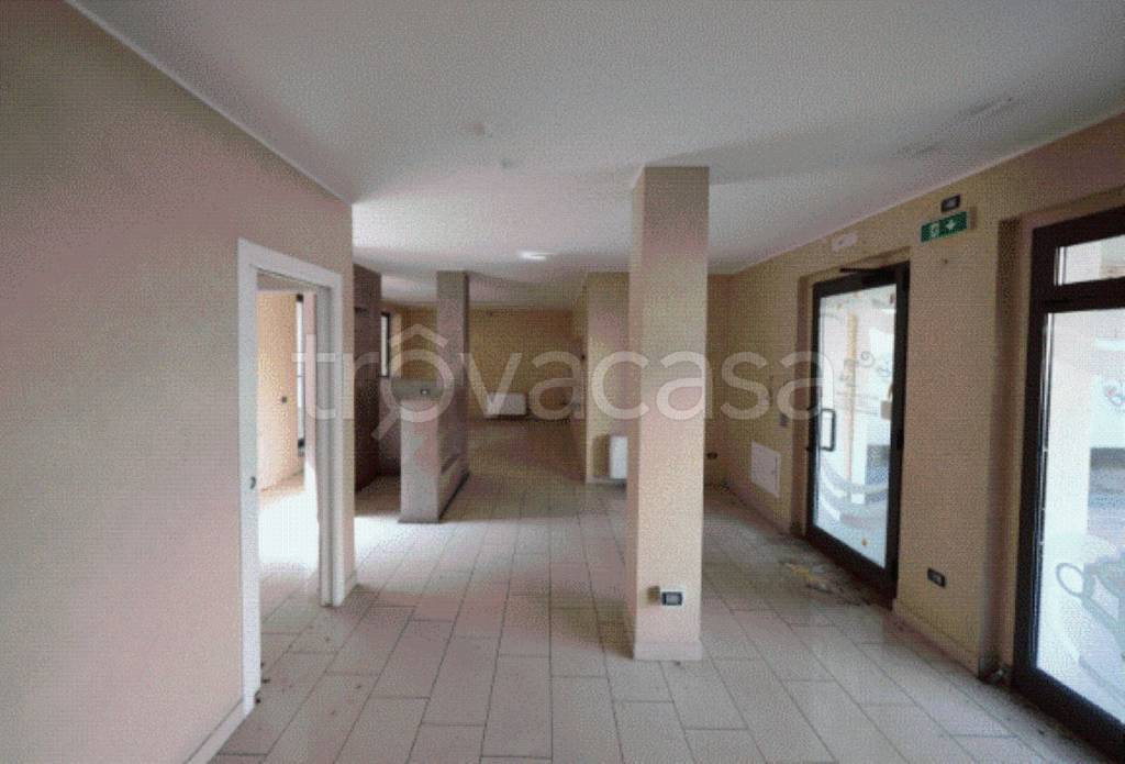 immagine annuncio 7 di 12