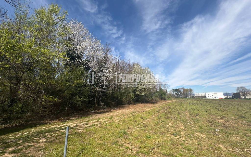 immagine annuncio 1 di 7