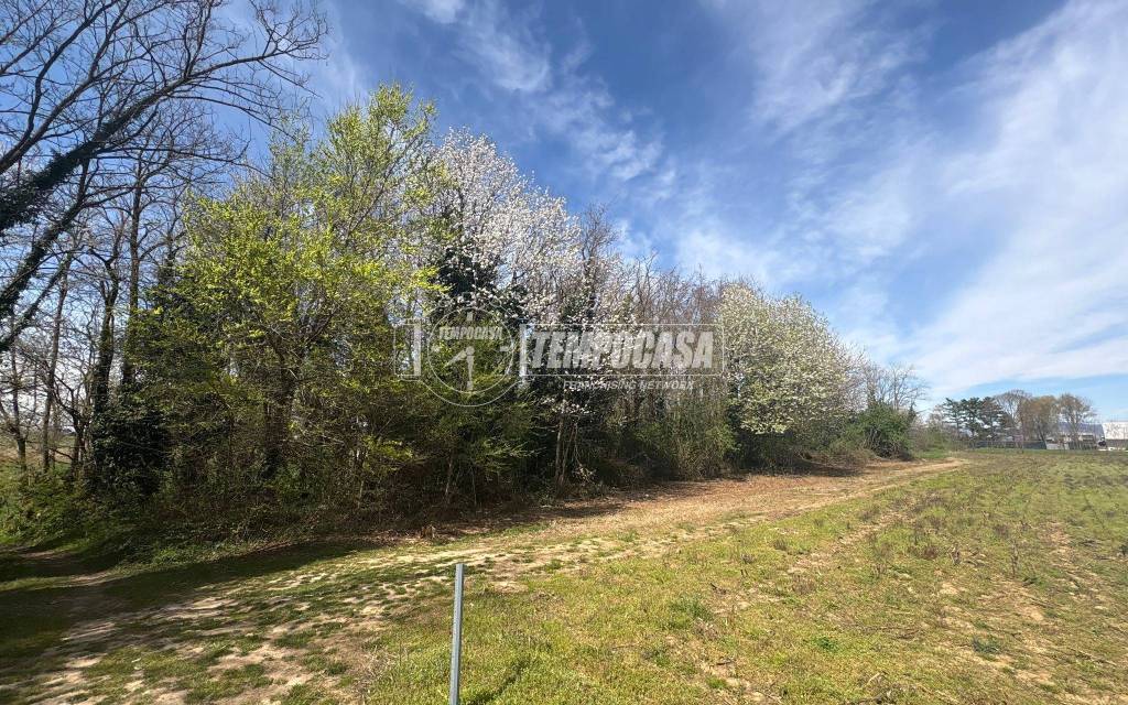 immagine annuncio 2 di 7