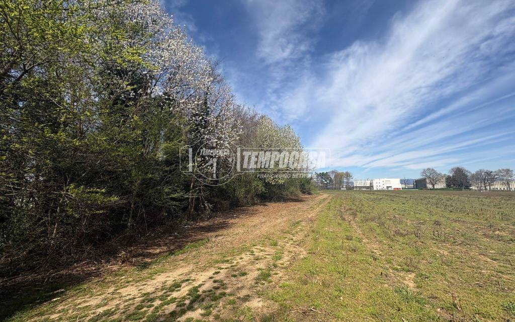 immagine annuncio 3 di 7