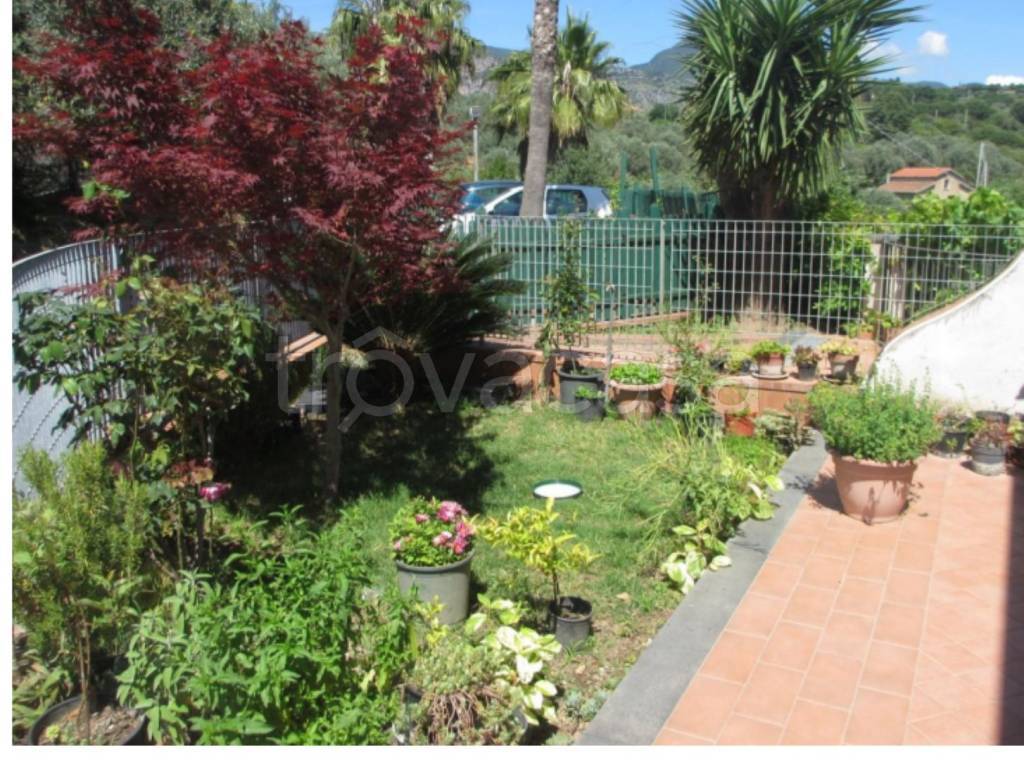 immagine annuncio 2 di 8