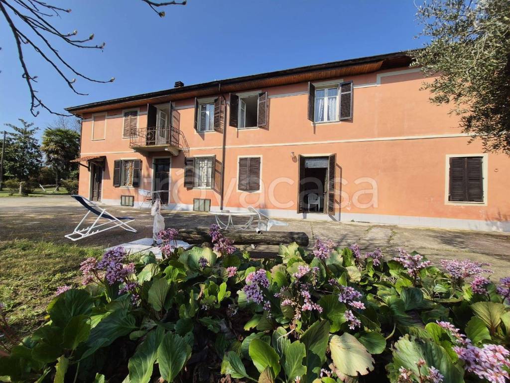 immagine annuncio 11 di 15