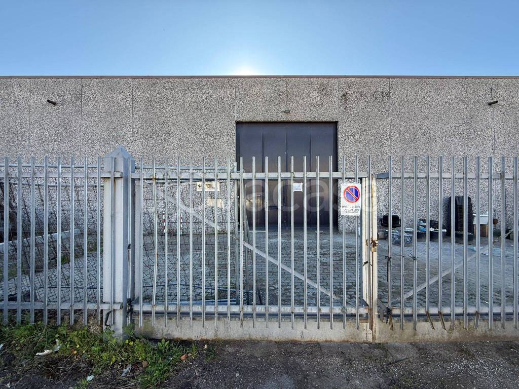 immagine annuncio 1 di 6